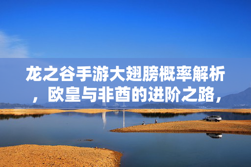 龙之谷手游大翅膀概率解析，欧皇与非酋的进阶之路，龙之谷手游大翅膀概率解析，欧皇与非酋进阶之路