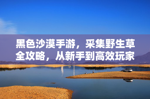 黑色沙漠手游,采集野生草全攻略,从新手到高效玩家的资源积累之路,黑色沙漠手游,野生草采集全攻略——从新手到高效玩家的资源积累之路