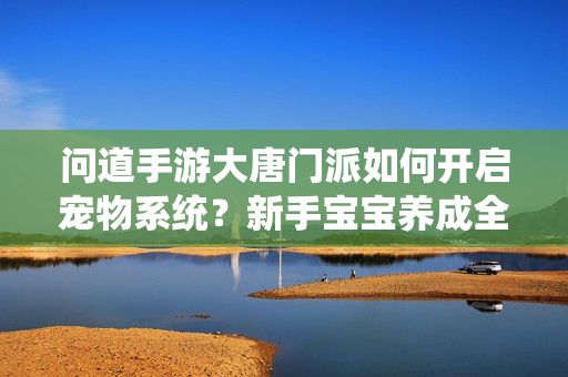问道手游大唐门派如何开启宠物系统？新手宝宝养成全攻略，问道手游大唐门派宠物系统开启与新手宝宝养成全攻略