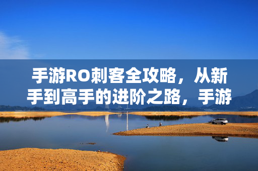 手游RO刺客全攻略，从新手到高手的进阶之路，手游RO刺客从新手到高手全攻略