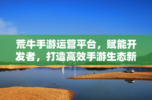 荒牛手游运营平台，赋能开发者，打造高效手游生态新引擎，荒牛手游运营平台，赋能开发者，打造高效手游生态新引擎