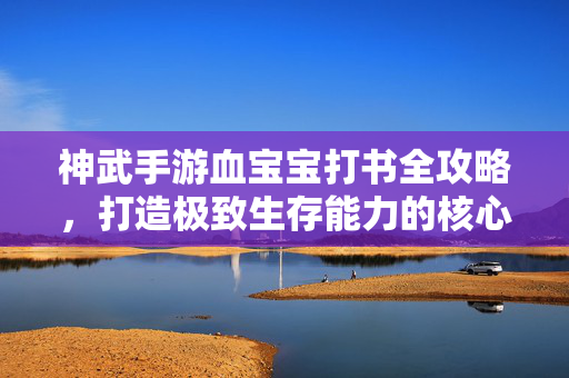 神武手游血宝宝打书全攻略,打造极致生存能力的核心秘籍,神武手游血宝宝打书全攻略,极致生存能力核心秘籍