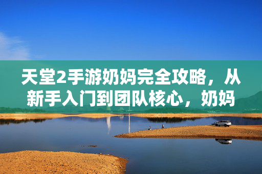 天堂2手游奶妈完全攻略，从新手入门到团队核心，奶妈养成指南，天堂2手游奶妈完全养成攻略，从新手入门到团队核心