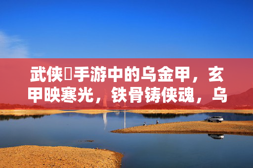 武侠乂手游中的乌金甲，玄甲映寒光，铁骨铸侠魂，乌金甲，玄甲映寒光，铁骨铸侠魂