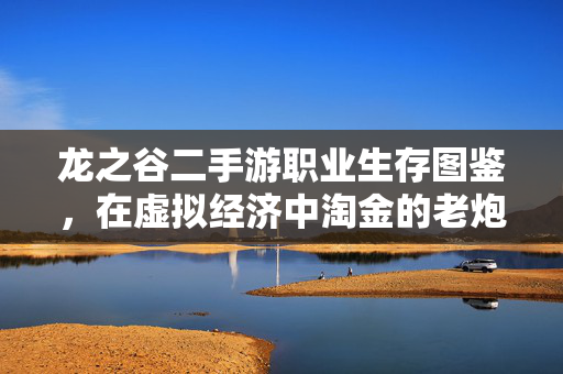 龙之谷二手游职业生存图鉴，在虚拟经济中淘金的老炮儿们，龙之谷二手游职业淘金图鉴，老炮儿的虚拟生存之道