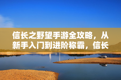 信长之野望手游全攻略，从新手入门到进阶称霸，信长之野望手游全攻略，从新手入门到进阶称霸