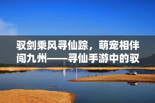 驭剑乘风寻仙踪，萌宠相伴闯九州——寻仙手游中的驭剑侍宠之趣，驭剑携宠寻仙趣