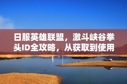 日服英雄联盟,激斗峡谷拳头ID全攻略,从获取到使用,打造你的独特游戏身份,日服英雄联盟激斗峡谷拳头ID全攻略,从获取到使用,打造独特游戏身份
