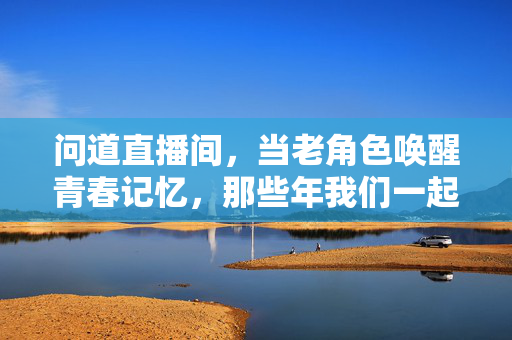 问道直播间，当老角色唤醒青春记忆，那些年我们一起追过的NPC，问道直播间，老NPC登场，唤醒青春记忆