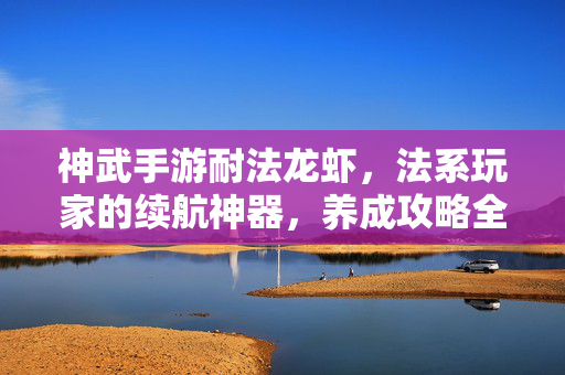 神武手游耐法龙虾，法系玩家的续航神器，养成攻略全解析，神武手游耐法龙虾，法系玩家续航养成攻略全解析