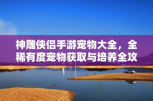 神雕侠侣手游宠物大全,全稀有度宠物获取与培养全攻略,神雕侠侣手游全稀有度宠物获取与培养全攻略