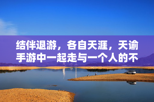 结伴退游，各自天涯，天谕手游中一起走与一个人的不同告别，结伴退游，各自天涯，天谕手游中从并肩到独行的告别
