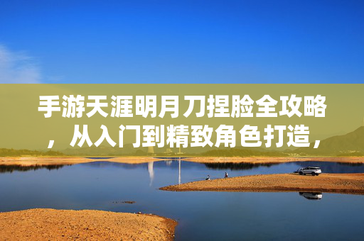 手游天涯明月刀捏脸全攻略，从入门到精致角色打造，手游天涯明月刀捏脸全攻略，从入门到精致角色打造