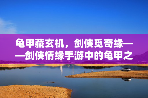 龟甲藏玄机，剑侠觅奇缘——剑侠情缘手游中的龟甲之谜，龟甲玄机，剑侠情缘手游之谜