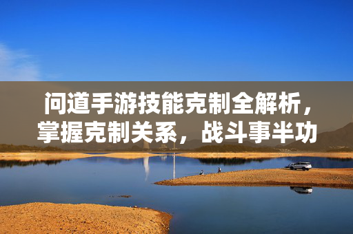 问道手游技能克制全解析，掌握克制关系，战斗事半功倍，问道手游技能克制全解析，掌握克制关系，战斗事半功倍