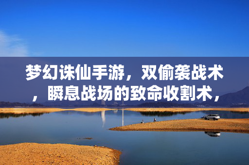 梦幻诛仙手游，双偷袭战术，瞬息战场的致命收割术，梦幻诛仙手游，双偷袭战术，瞬息战场的致命收割术