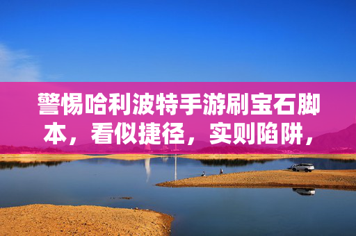警惕哈利波特手游刷宝石脚本，看似捷径，实则陷阱，警惕哈利波特手游刷宝石脚本，看似捷径，实则陷阱