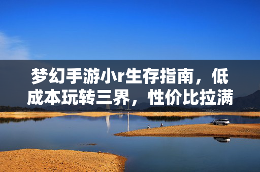 梦幻手游小r生存指南,低成本玩转三界,性价比拉满攻略,小r生存指南,低成本玩转三界,性价比拉满攻略