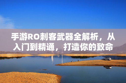 手游RO刺客武器全解析，从入门到精通，打造你的致命暗影，手游RO刺客武器全解析，从入门到精通，打造致命暗影