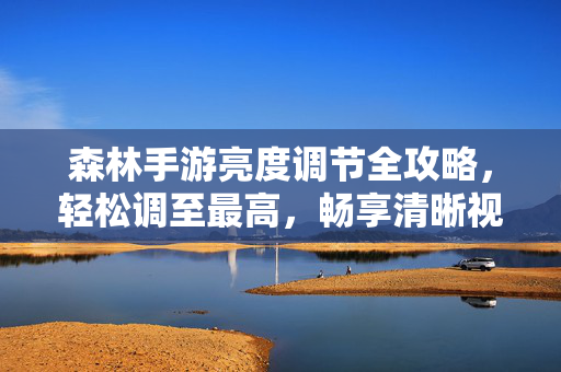 森林手游亮度调节全攻略，轻松调至最高，畅享清晰视觉体验，森林手游亮度调节全攻略，轻松调至最高，畅享清晰视觉体验