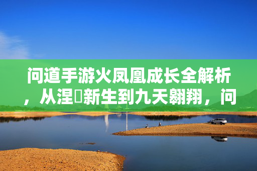 问道手游火凤凰成长全解析，从涅槃新生到九天翱翔，问道手游火凤凰成长，涅槃新生到九天翱翔