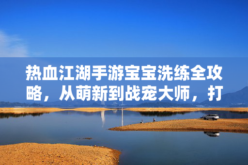 热血江湖手游宝宝洗练全攻略，从萌新到战宠大师，打造你的最强助力，热血江湖手游宝宝洗练全攻略，从萌新到战宠大师，打造最强助力