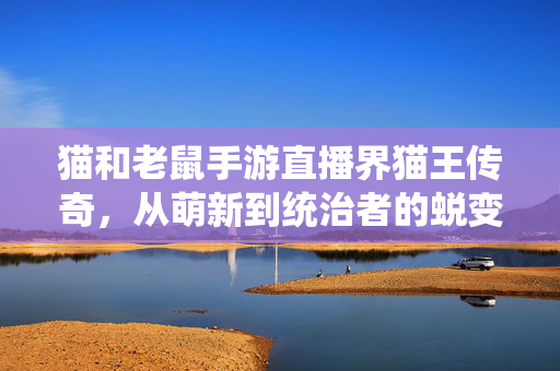 猫和老鼠手游直播界猫王传奇，从萌新到统治者的蜕变之路，手游猫王传奇，从萌新到统治者的蜕变之路