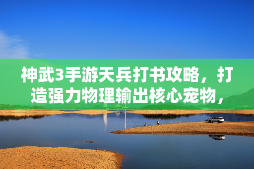 神武3手游天兵打书攻略，打造强力物理输出核心宠物，神武3手游天兵打书攻略，打造强力物理输出核心宠物