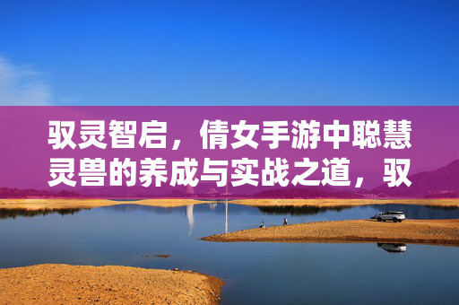 驭灵智启，倩女手游中聪慧灵兽的养成与实战之道，驭灵智启，倩女手游聪慧灵兽养成与实战之道
