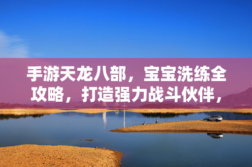 手游天龙八部，宝宝洗练全攻略，打造强力战斗伙伴，手游天龙八部宝宝洗练全攻略，打造强力战斗伙伴