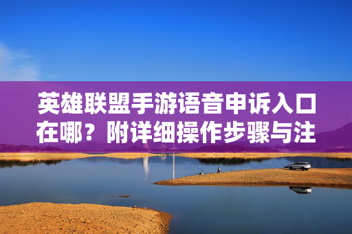 英雄联盟手游语音申诉入口在哪？附详细操作步骤与注意事项，英雄联盟手游语音申诉入口与操作步骤详解