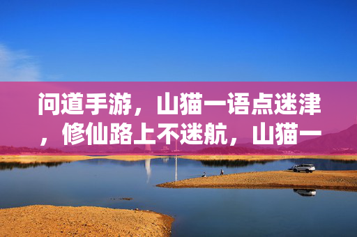 问道手游，山猫一语点迷津，修仙路上不迷航，山猫一语点迷津，问道修仙不迷航