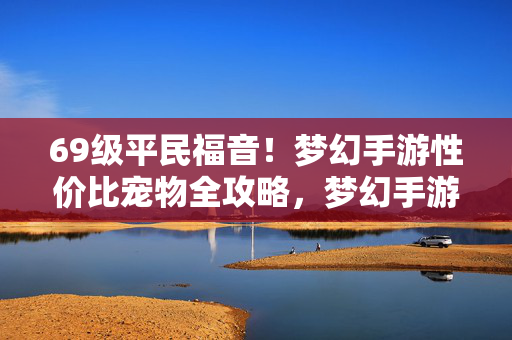 69级平民福音！梦幻手游性价比宠物全攻略，梦幻手游69级平民性价比宠物全攻略