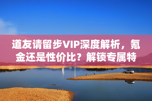 道友请留步VIP深度解析，氪金还是性价比？解锁专属特权，轻松修仙路，修仙VIP氪金还是性价比？专属特权解锁轻松路