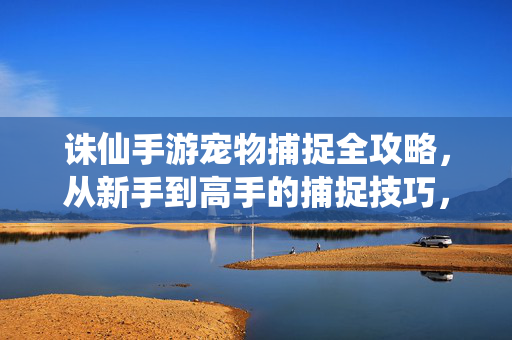 诛仙手游宠物捕捉全攻略，从新手到高手的捕捉技巧，诛仙手游宠物捕捉，从新手到高手的全攻略