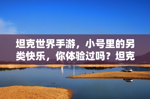 坦克世界手游，小号里的另类快乐，你体验过吗？坦克世界手游，小号里的另类快乐