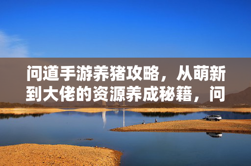 问道手游养猪攻略，从萌新到大佬的资源养成秘籍，问道手游养猪攻略，从萌新到大佬的资源养成秘籍