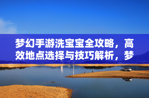 梦幻手游洗宝宝全攻略，高效地点选择与技巧解析，梦幻手游洗宝宝全攻略，高效地点选择与技巧解析