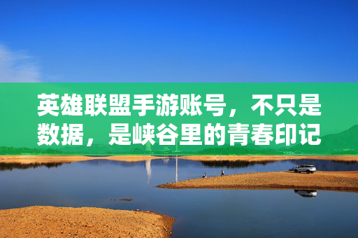 英雄联盟手游账号，不只是数据，是峡谷里的青春印记，英雄联盟手游账号，峡谷里的青春，不止于数据