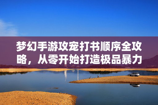 梦幻手游攻宠打书顺序全攻略，从零开始打造极品暴力输出，梦幻手游攻宠打书顺序全攻略，从零开始打造极品暴力输出