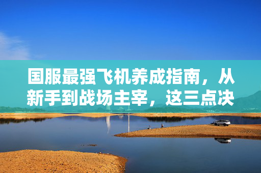 国服最强飞机养成指南，从新手到战场主宰，这三点决定你的上限！国服最强飞机养成，三点决定上限，新手到战场主宰