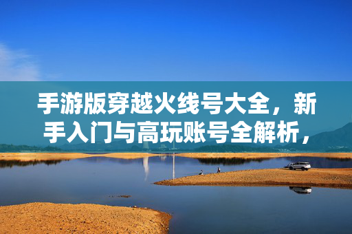 手游版穿越火线号大全，新手入门与高玩账号全解析，手游版穿越火线号大全，新手入门与高玩账号全解析