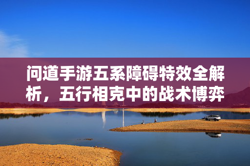 问道手游五系障碍特效全解析，五行相克中的战术博弈，问道手游五系障碍特效，五行相克战术博弈全解析