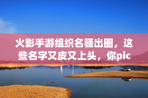 火影手游组织名骚出圈，这些名字又皮又上头，你pick哪一个？火影手游骚名组织出圈！这些皮到飞起的ID，你pick哪个？