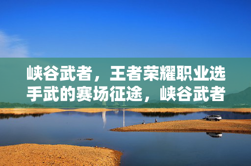 峡谷武者，王者荣耀职业选手武的赛场征途，峡谷武者，王者荣耀职业选手的赛场征途