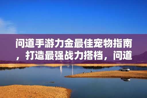 问道手游力金最佳宠物指南，打造最强战力搭档，问道手游力金最佳宠物指南，打造最强战力搭档
