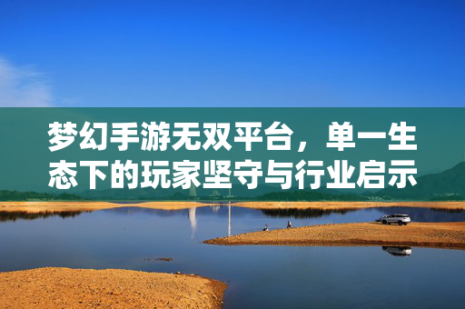 梦幻手游无双平台，单一生态下的玩家坚守与行业启示，梦幻手游无双平台，单一生态下的玩家坚守与行业启示