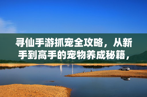 寻仙手游抓宠全攻略,从新手到高手的宠物养成秘籍,寻仙手游抓宠养成全攻略,新手到高手秘籍