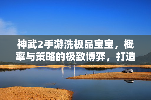 神武2手游洗极品宝宝，概率与策略的极致博弈，打造你的梦幻战宠，神武2手游洗宝宝，概率策略极致博弈，打造梦幻战宠