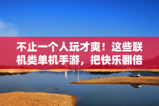 不止一个人玩才爽！这些联机类单机手游，把快乐翻倍